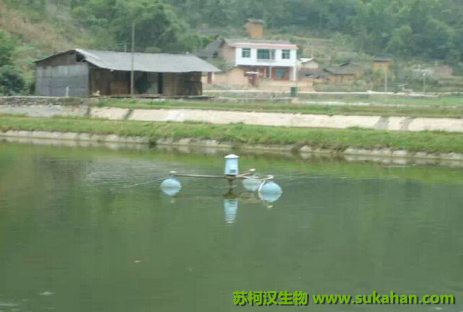 池塘水质管理